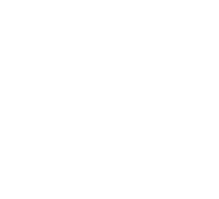 VDMR Icon